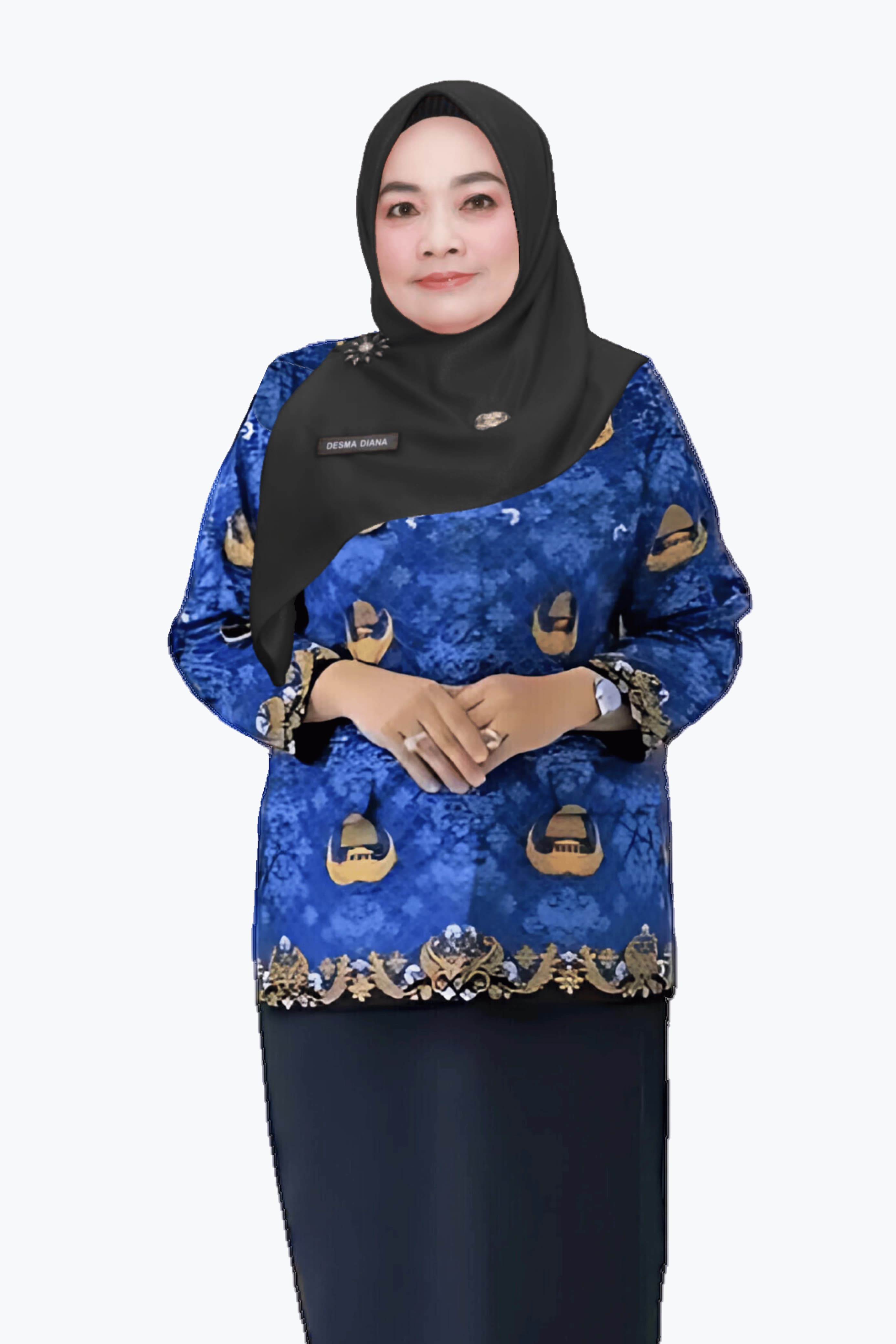 Kepala Dinas Perumahan dan Kawasan Permukiman